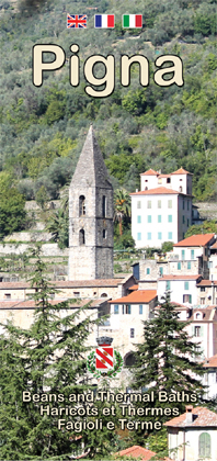 Pigna